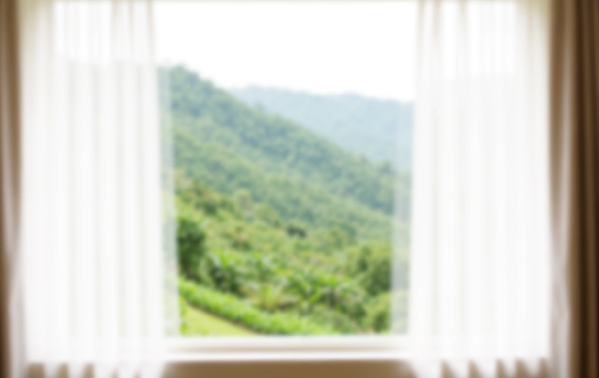 Wellness environment